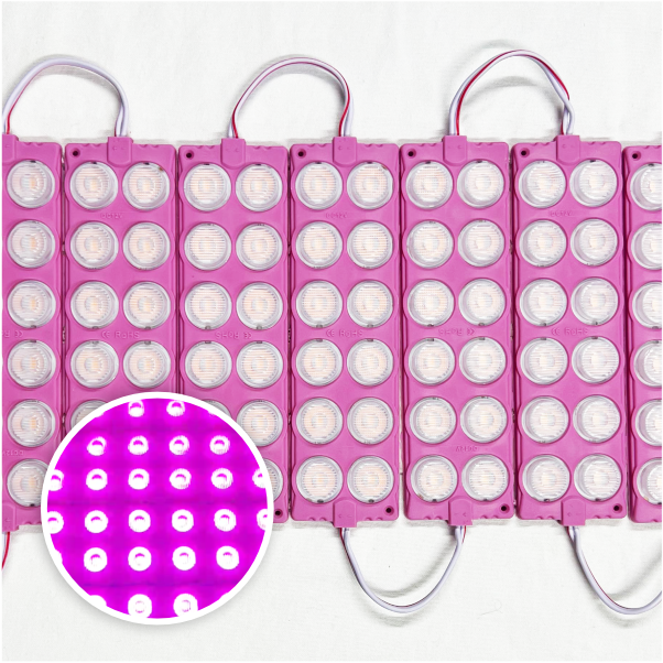 MODULO 12LED 13CM 12 WATTS 12V DC ROSADO