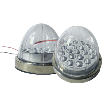 LUZ WATERMELON DE PLASTICO TRANSPARENTE BLANCO DC 12-24V