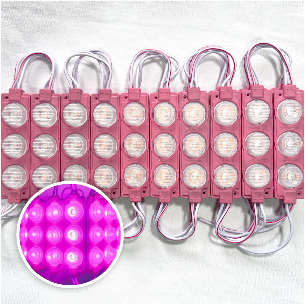 MODULO 3LED 7CM 3 WATTS 24V DC ROSADO