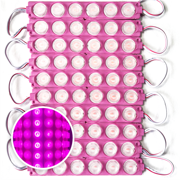 MODULO 6LED 13CM 6 WATTS 12V DC ROSADO