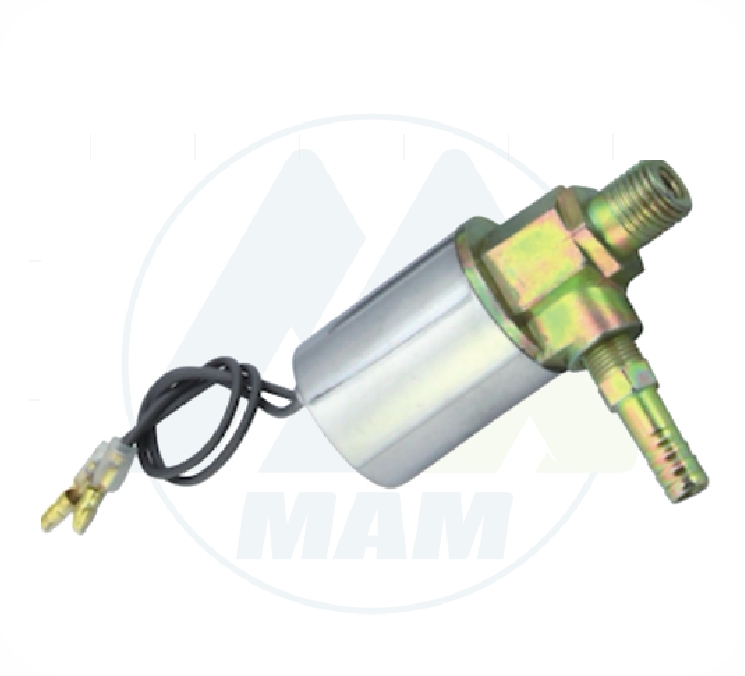 ELECTROVALVULA 24V